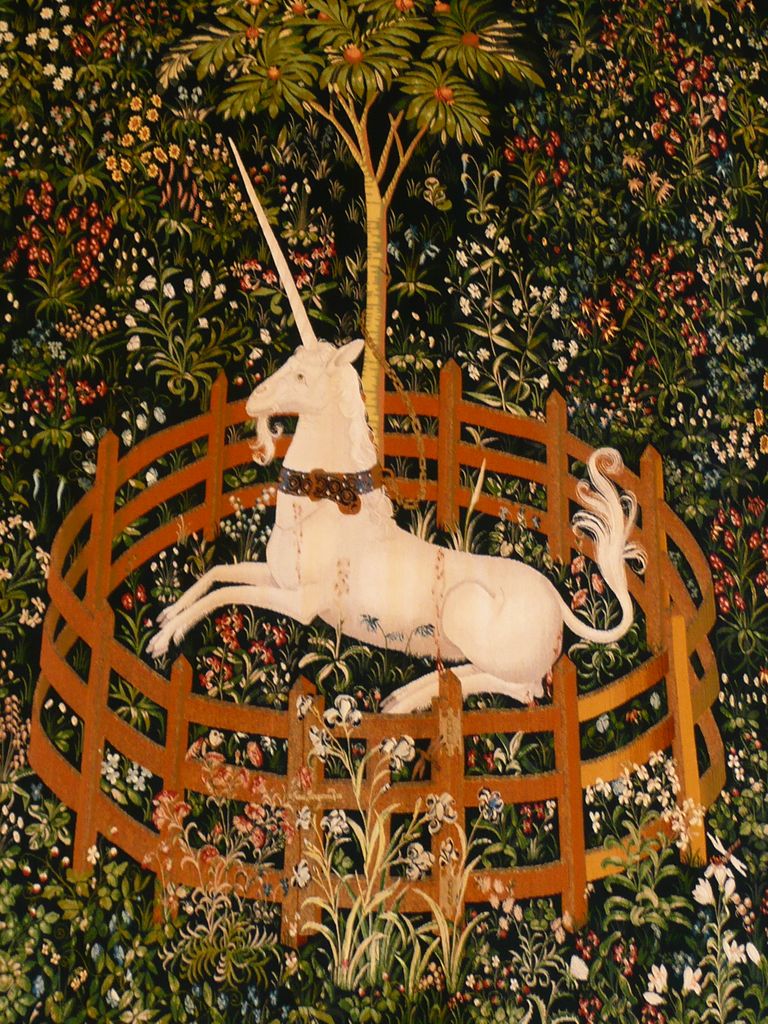 Stirling castle (40)